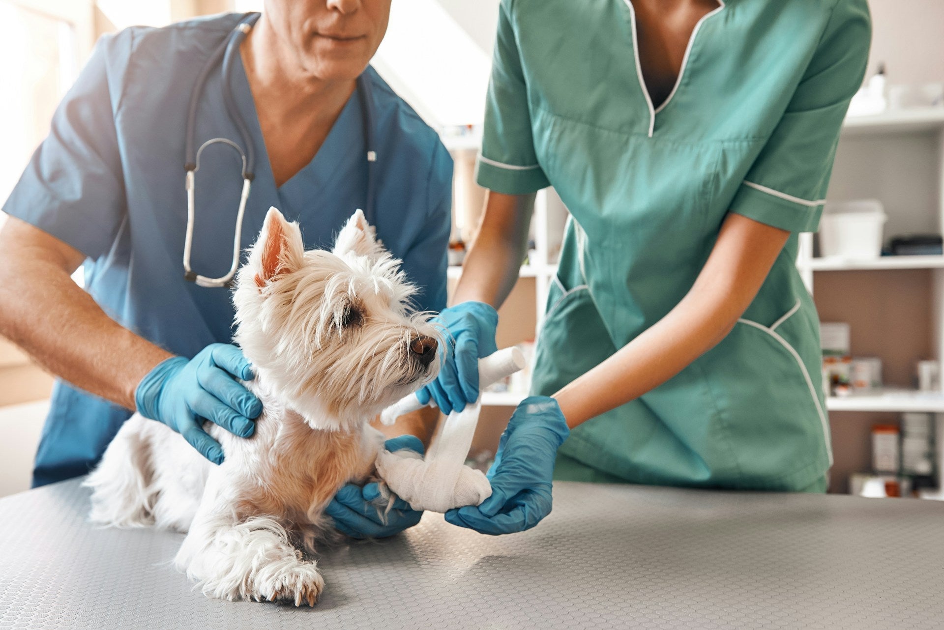 Veterinary