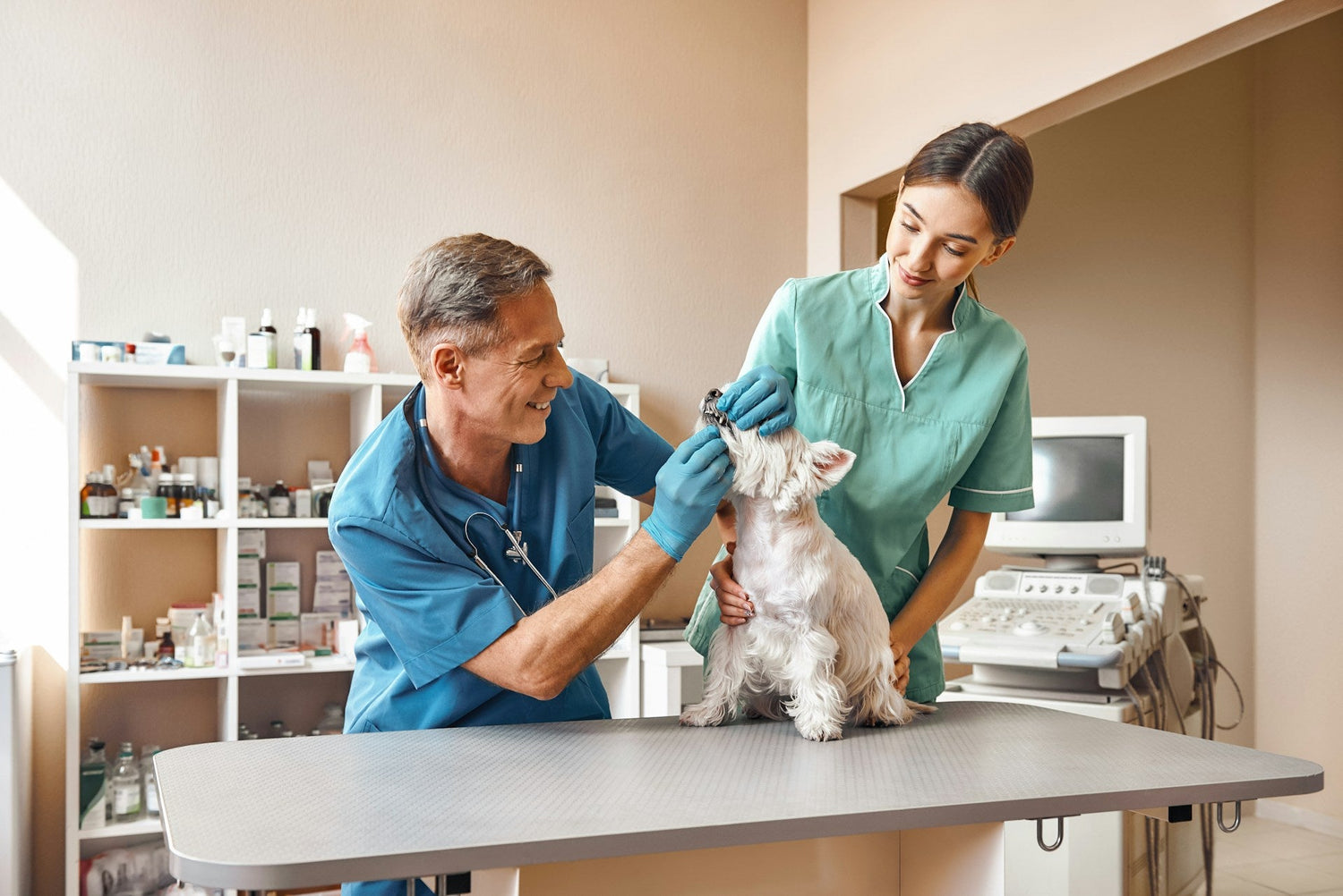 Veterinary Clinic