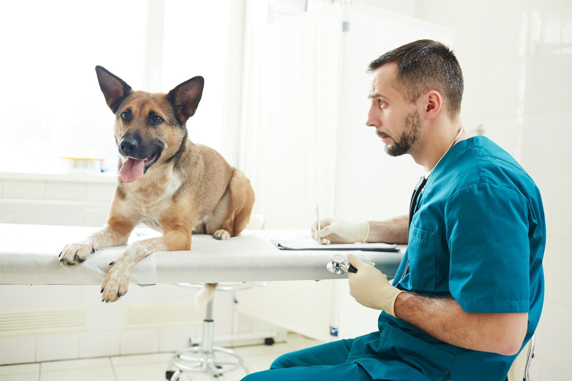 vet setting